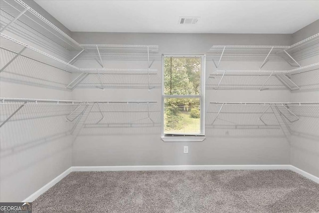 spacious closet featuring carpet flooring