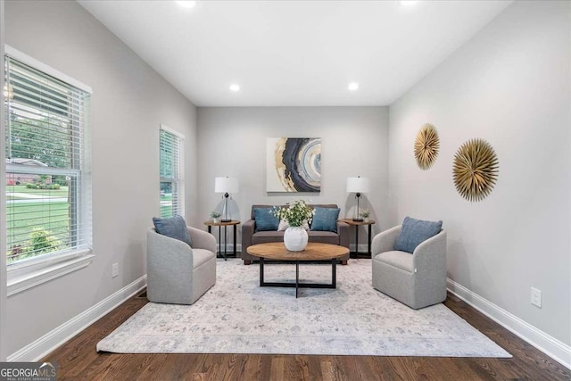 living room with dark wood-type flooring