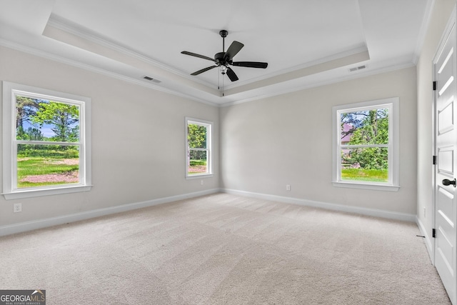 carpeted spare room featuring ceiling fan, ornamental molding, and a tray ceiling