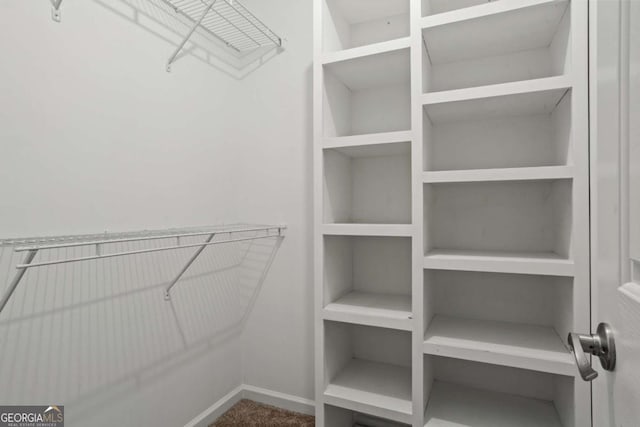 view of spacious closet