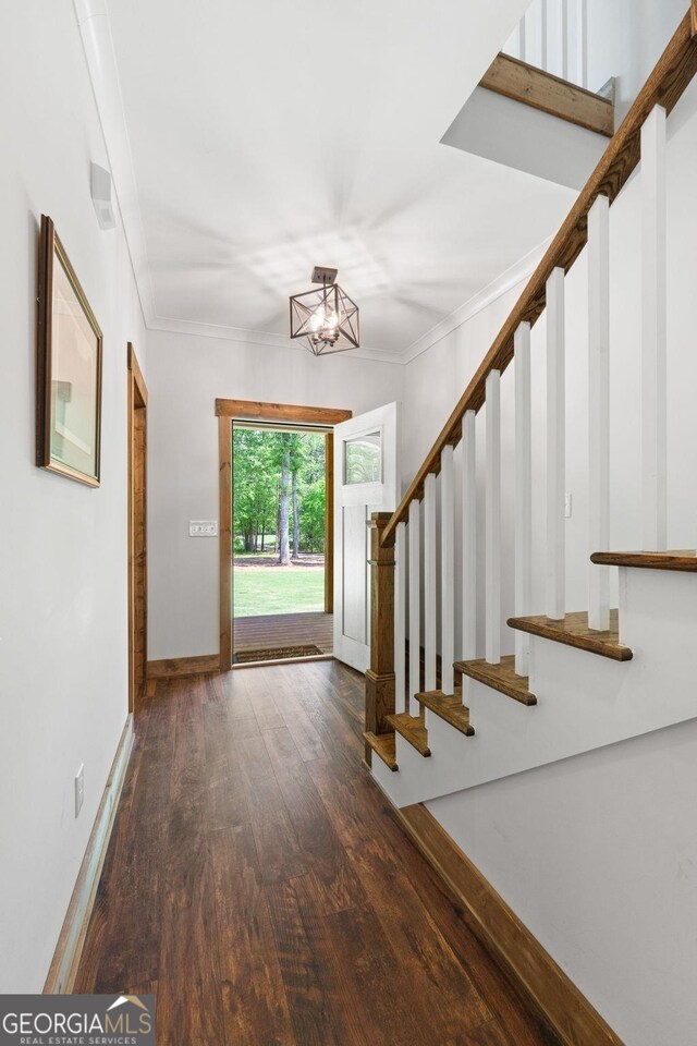 foyer entrance featuring crown molding, dark wood-type flooring, and a notable chandelier