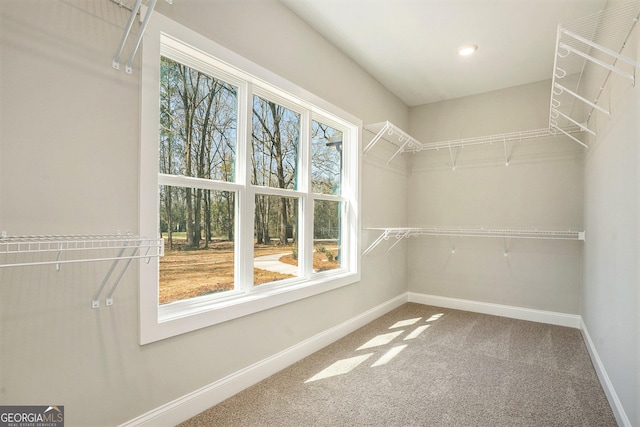 walk in closet featuring carpet flooring