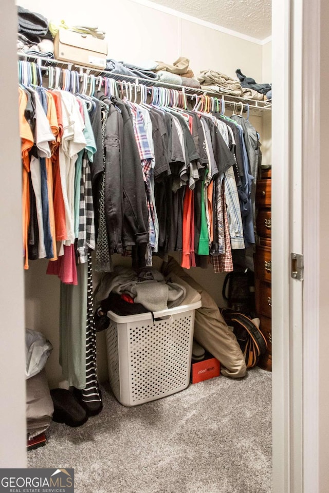 spacious closet with carpet