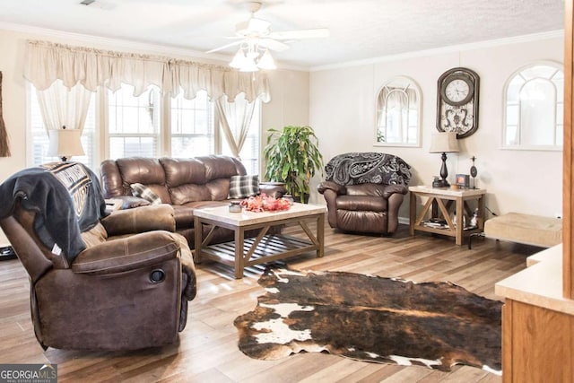 living room featuring ceiling fan, light hardwood / wood-style floors, and ornamental molding