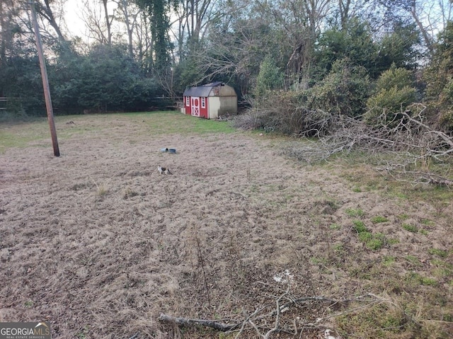 view of yard featuring a storage unit