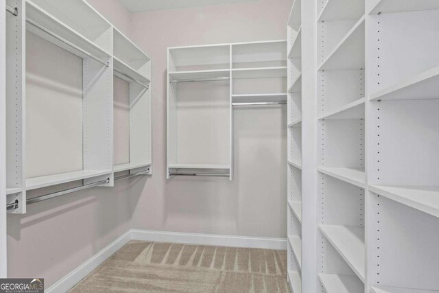 spacious closet with carpet