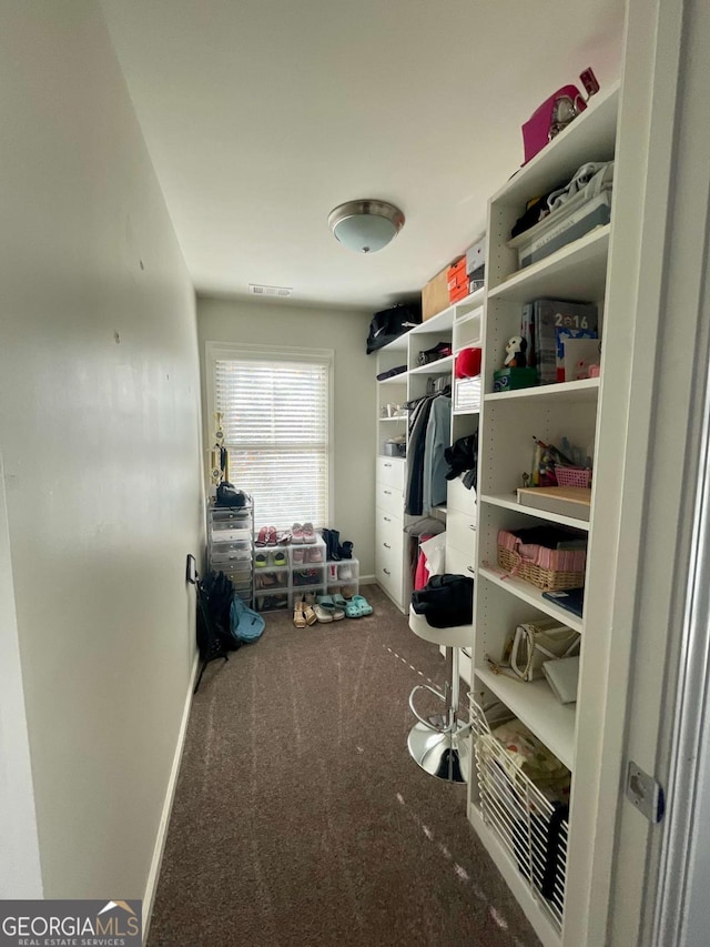 spacious closet with carpet