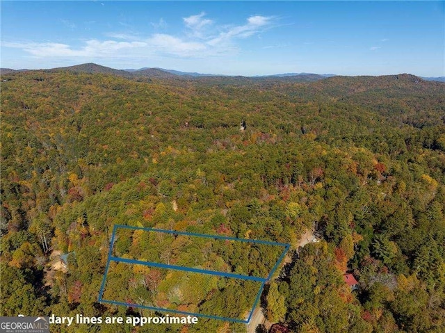 0 Mountain View Cir, Blue Ridge GA, 30513 land for sale