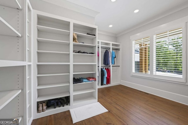 walk in closet featuring dark hardwood / wood-style floors