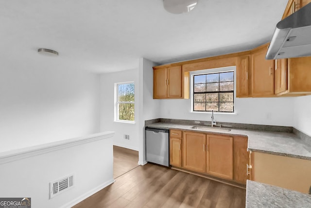 kitchen featuring dishwasher, sink, a wealth of natural light, and exhaust hood