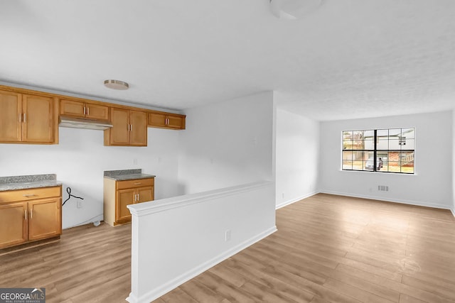 kitchen with light wood-type flooring