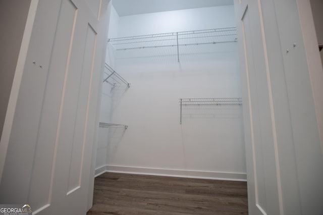 walk in closet featuring dark hardwood / wood-style floors