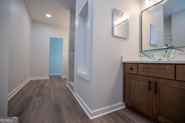 bathroom with hardwood / wood-style floors and vanity