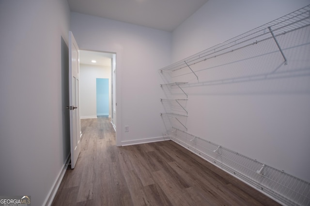 walk in closet with hardwood / wood-style flooring