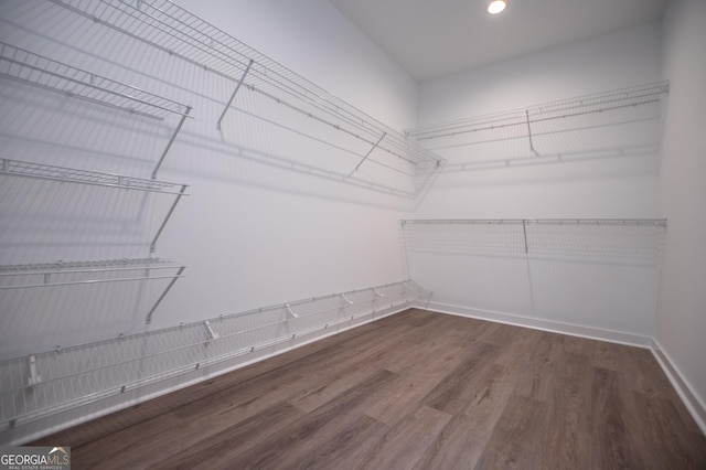 walk in closet featuring dark hardwood / wood-style floors