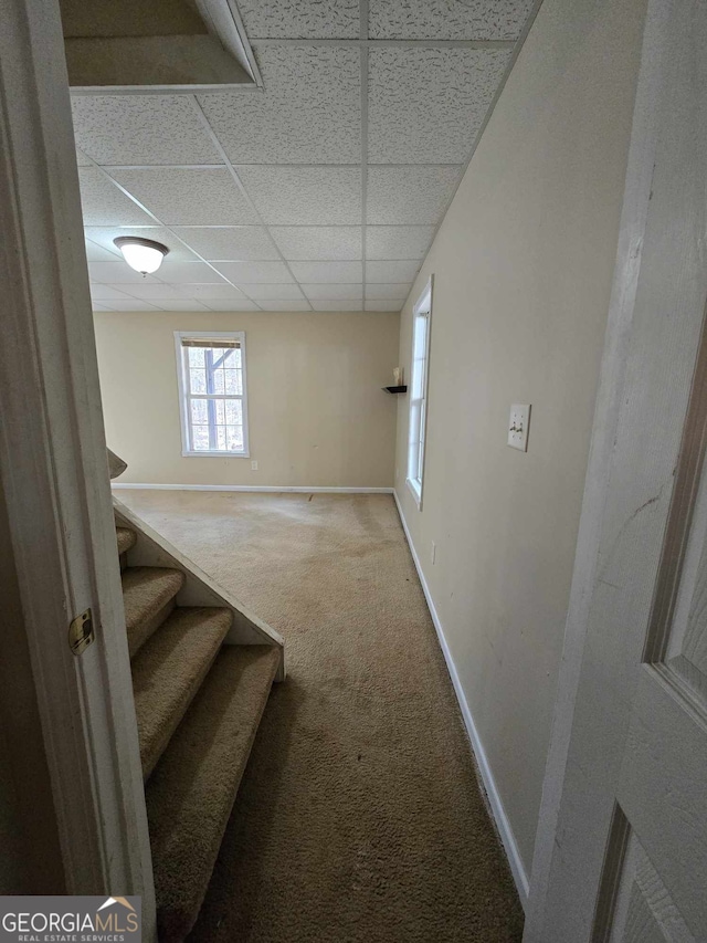 basement with a paneled ceiling and carpet floors