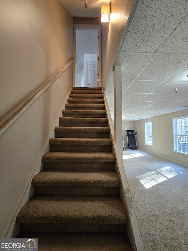 stairway featuring carpet