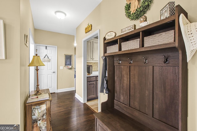 mudroom featuring dark hardwood / wood-style flooring