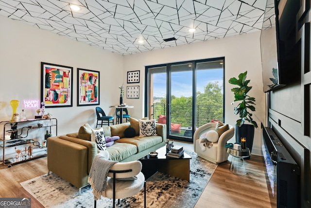 living room featuring hardwood / wood-style floors