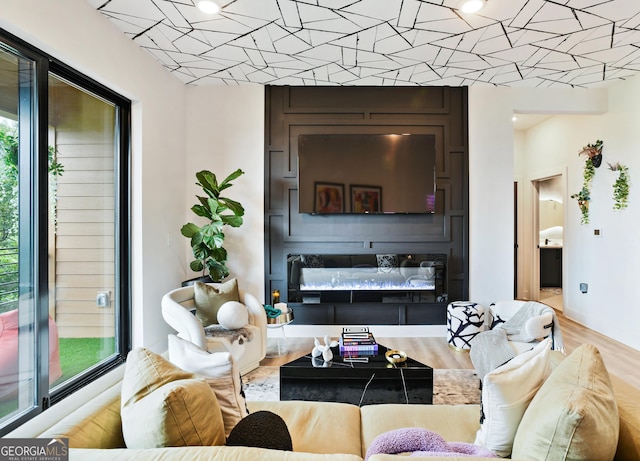 living room featuring wood-type flooring