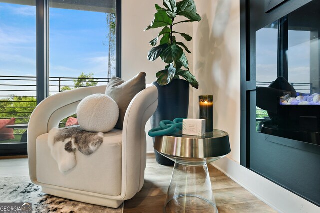 living area featuring hardwood / wood-style flooring