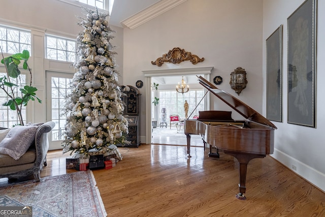 entrance foyer with a high ceiling, hardwood / wood-style flooring, and a notable chandelier