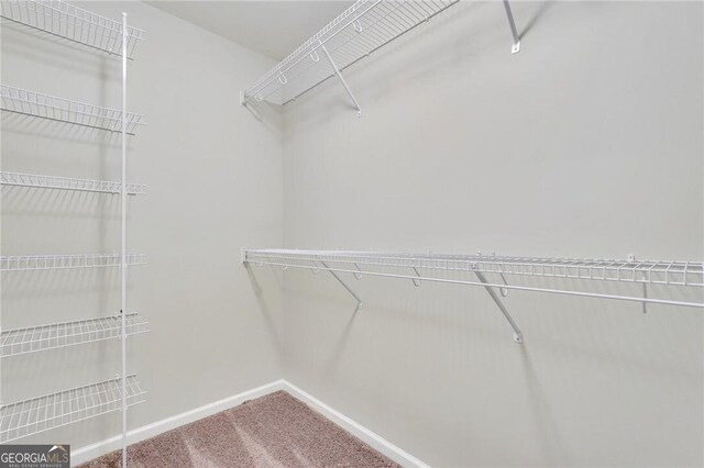 spacious closet featuring carpet floors