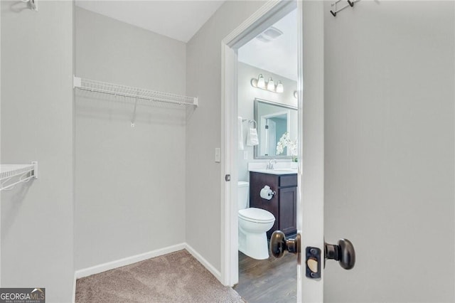 spacious closet with carpet floors and sink