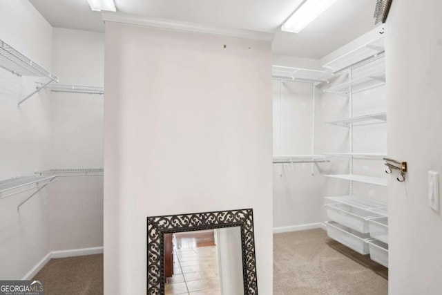 spacious closet with light colored carpet