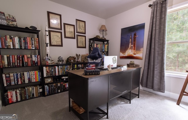 home office with light colored carpet