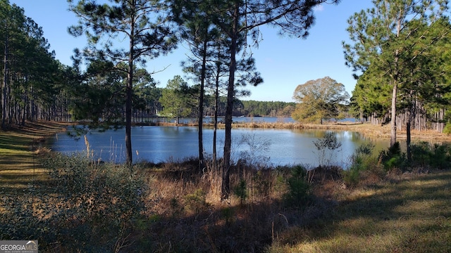 view of water feature