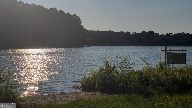 view of water feature