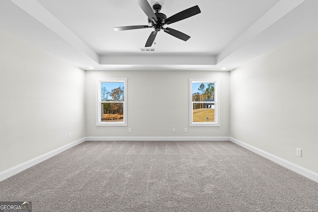 unfurnished room featuring carpet, plenty of natural light, and a tray ceiling