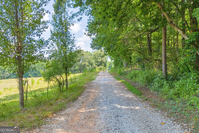 view of road with a rural view