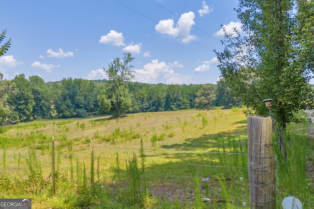 view of yard with a rural view