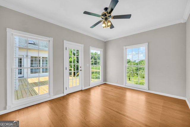 interior space with ceiling fan, ornamental molding, and light wood-type flooring