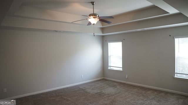 empty room featuring plenty of natural light, carpet flooring, a raised ceiling, and baseboards