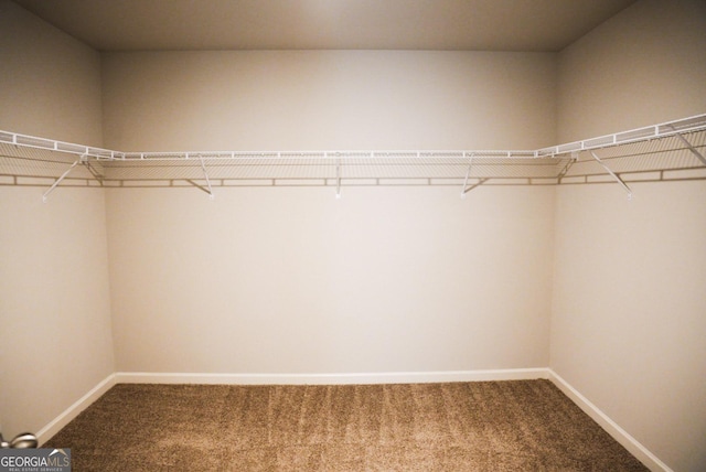 spacious closet with carpet