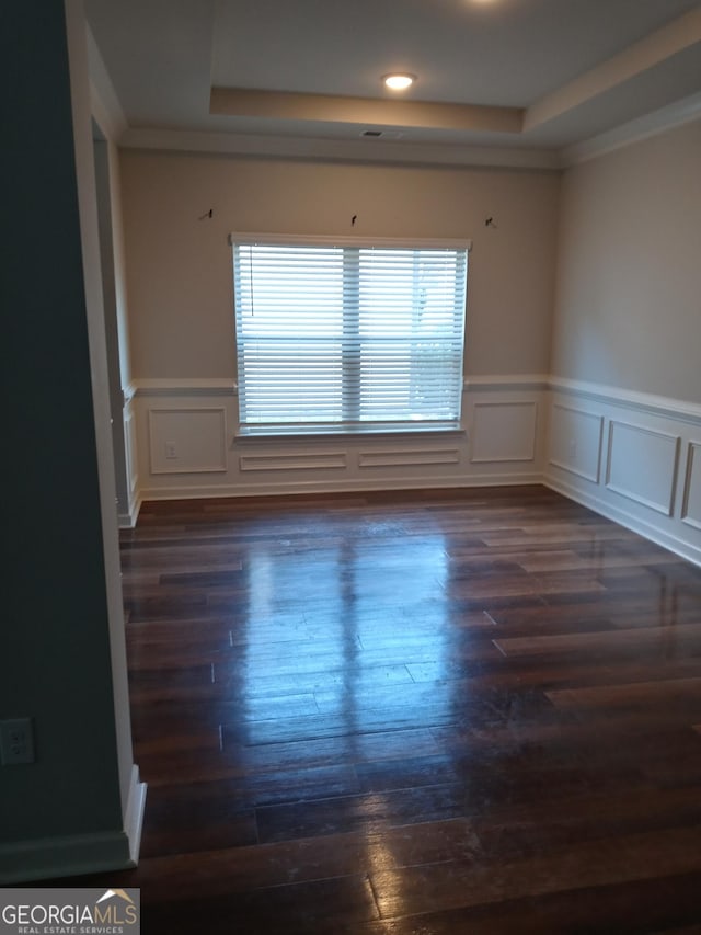 unfurnished room featuring a tray ceiling, dark hardwood / wood-style flooring, and plenty of natural light