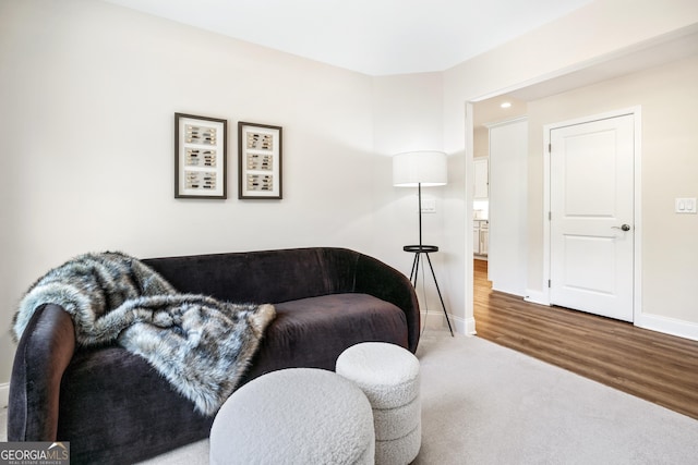 living room featuring hardwood / wood-style flooring