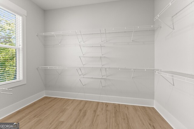 walk in closet with hardwood / wood-style floors