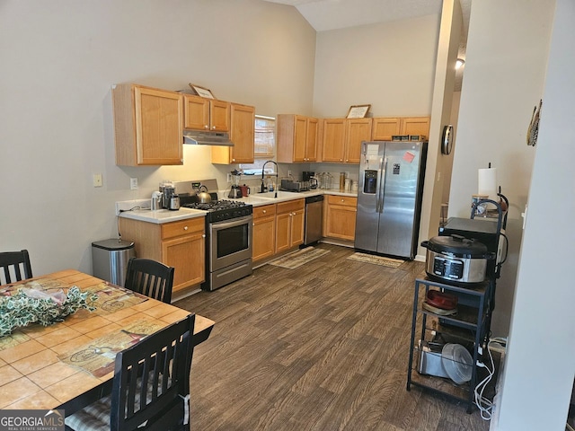 kitchen with appliances with stainless steel finishes, dark hardwood / wood-style floors, high vaulted ceiling, and sink