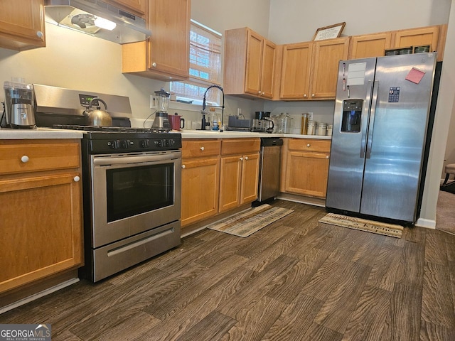 kitchen featuring exhaust hood, dark wood-type flooring, stainless steel appliances, and sink