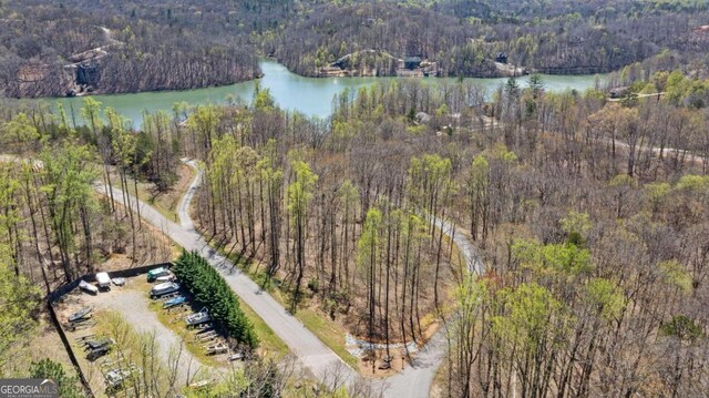 253 N Laceola Rd, Cleveland GA, 30528 land for sale