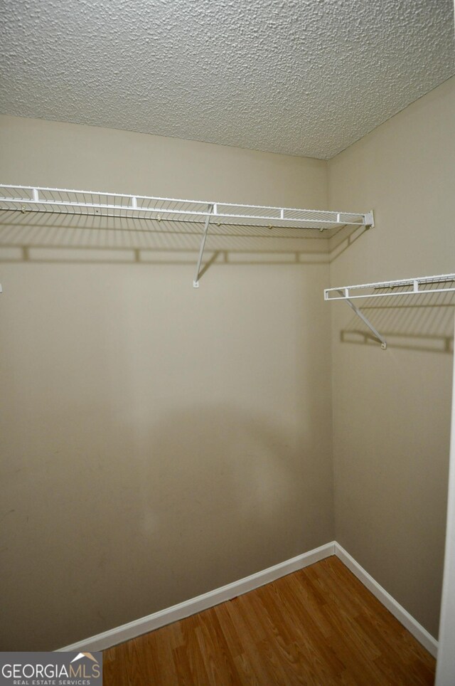 walk in closet featuring hardwood / wood-style flooring