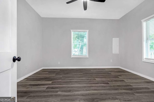 empty room with ceiling fan, dark hardwood / wood-style floors, and plenty of natural light