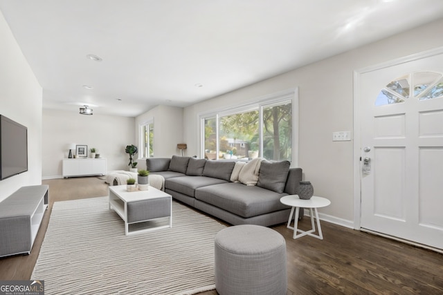 living room featuring dark hardwood / wood-style flooring