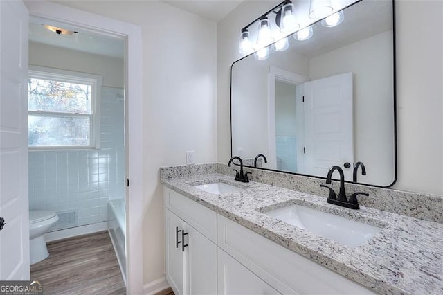 bathroom featuring vanity, wood-type flooring, and toilet