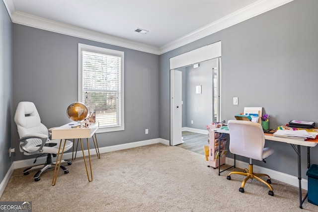 office space with carpet flooring and crown molding