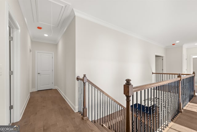 hall featuring ornamental molding and wood-type flooring